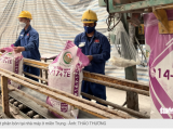 Vì sao Việt Nam bỗng vọt lên trong xuất khẩu phân bón?| Đọc báo cùng Phân bón Điền Gia